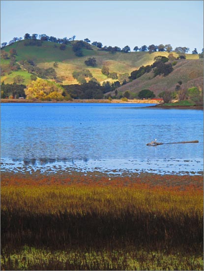 sm 091112.32 Lagoon V..jpg - While still low, recent rains have raised the water level. Sunlight plays across the Vaca Hills in the background.